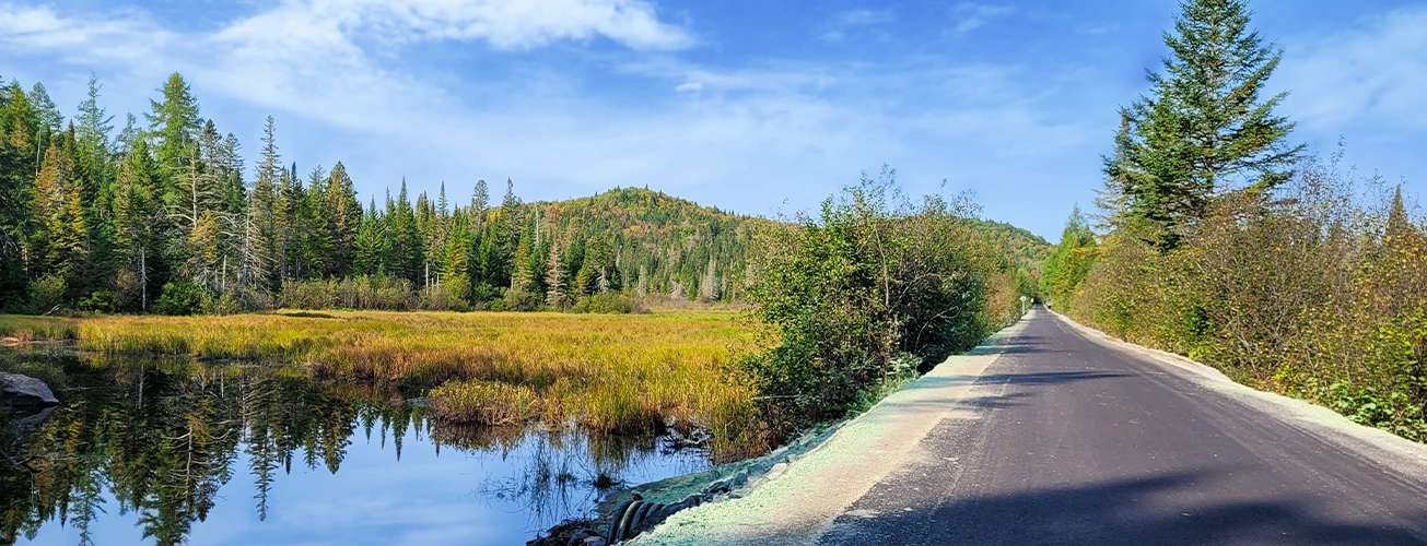 The P'tit Train du Nord Trail Now Safer and More Accessible Thanks to our Teams